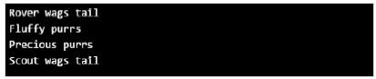 Polymorphism Output