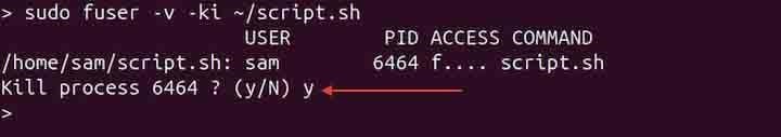 kill Process Interactively fuser Command