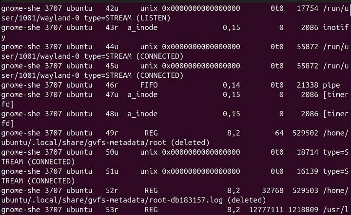 lsof Command in Linux13